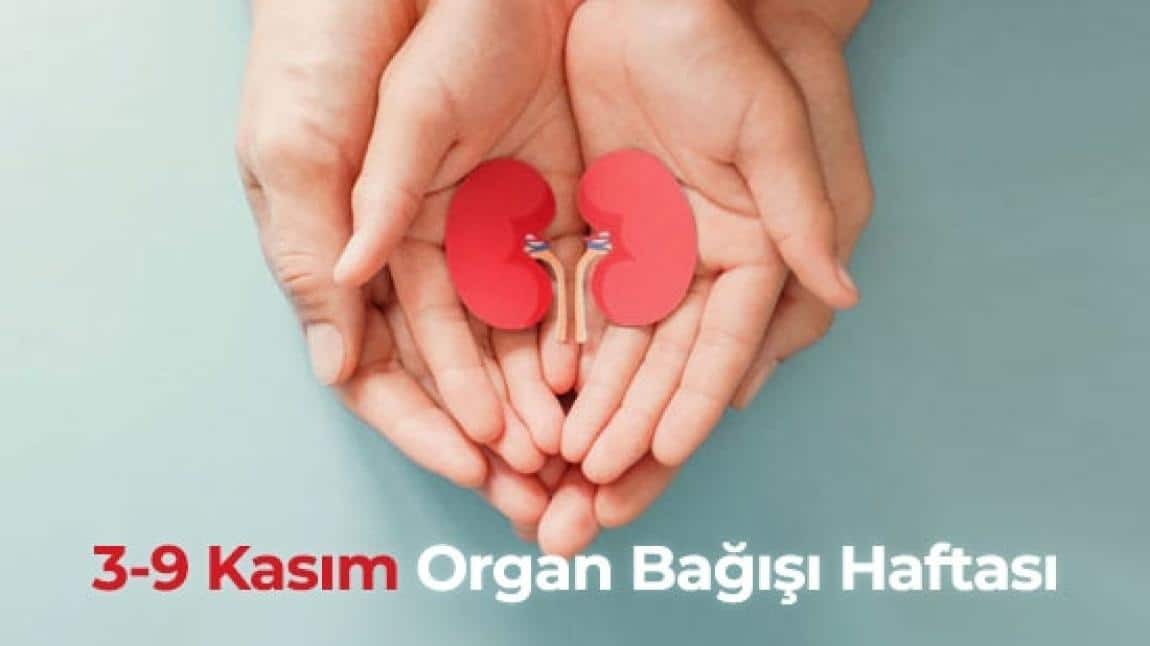 Organ Bağışı Haftası