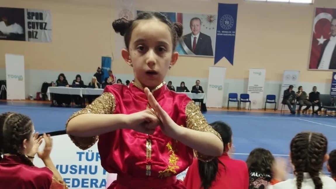 Wushu Kung-fu Türkiye Şampiyonası